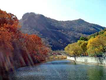 新澳门二四六天天彩，青岛汽车座套